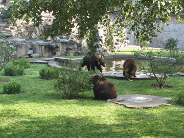 enclosure