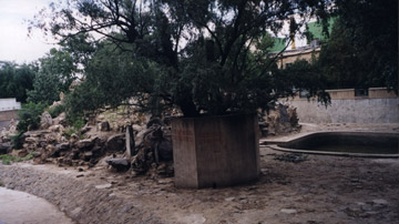 Old bear area