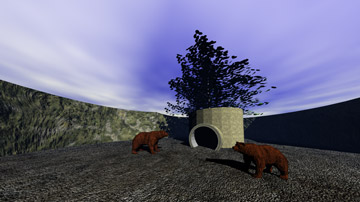 Old bear area