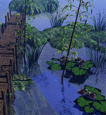 Design for Observation Walkways